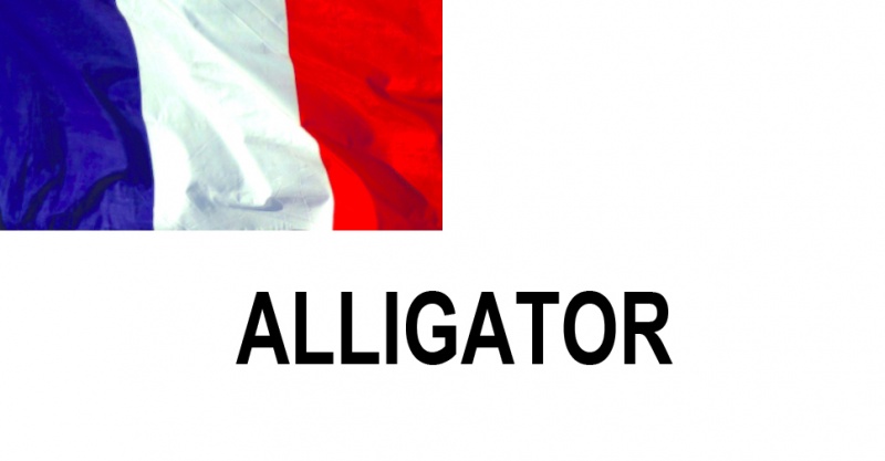 ALLIGATOR