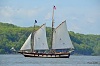 Schooner Mystic Whaler sailing on the Hudson River