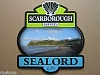 Scarborough Brewery Sealord Pump Clip Front