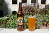 flock wave unfiltered pale ale 1638 0